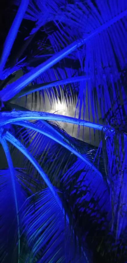 Little Pompeji Boutique Hotel - Adults Only Jambiani  Exterior photo